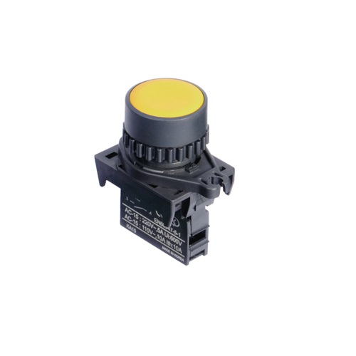 Ø22/25 Push button switches (Non-Flush)-S2PR-P1YA